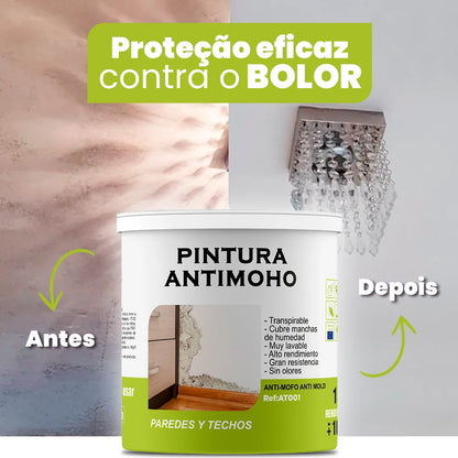 Proteção Imbatível Contra o Bolor! – Tinta MohoFree. Secagem Rápida, Sem Odores e Durabilidade Garantida