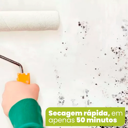 Proteção Imbatível Contra o Bolor! – Tinta MohoFree. Secagem Rápida, Sem Odores e Durabilidade Garantida