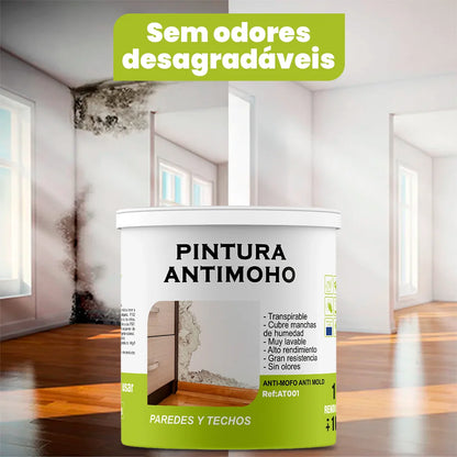 Proteção Imbatível Contra o Bolor! – Tinta MohoFree. Secagem Rápida, Sem Odores e Durabilidade Garantida