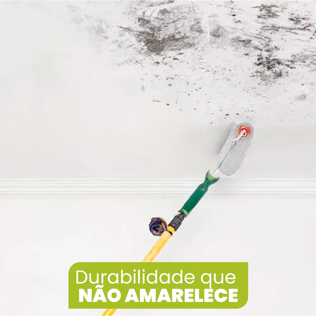 Proteção Imbatível Contra o Bolor! – Tinta MohoFree. Secagem Rápida, Sem Odores e Durabilidade Garantida