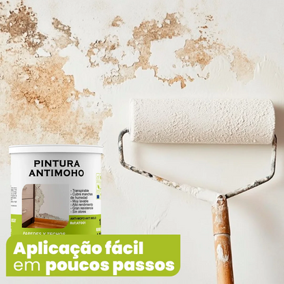 Proteção Imbatível Contra o Bolor! – Tinta MohoFree. Secagem Rápida, Sem Odores e Durabilidade Garantida
