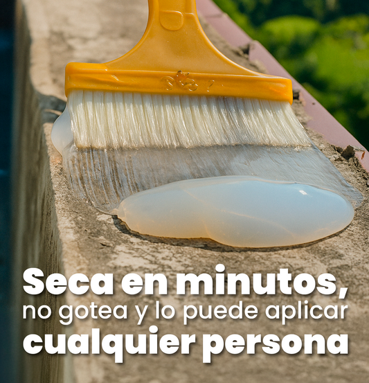 SelleTodo Selante Transparente Antihumidade para Paredes, Tetos e Superfícies